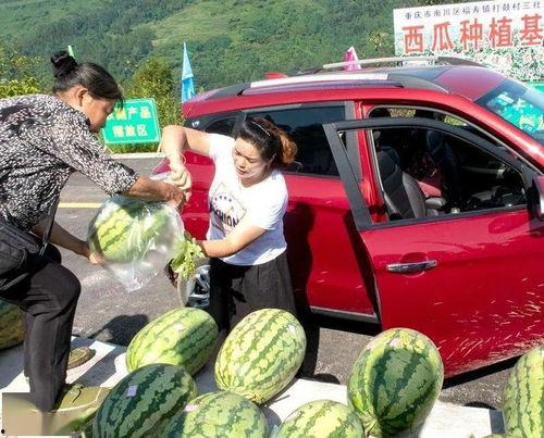现在厦门的吃瓜群众,吃瓜群众聚焦最新热点事件”