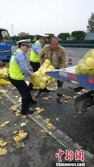 吃瓜群众图片大全大图最新,最新图片大全大图集锦