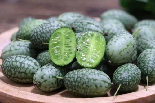 吃瓜群众吃瓜是指什么瓜,网络热词背后的文化现象