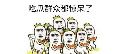 吃瓜群众转发一下微信怎么回事,一场网络传播的狂欢