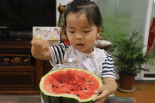 吃瓜群众踢足球是真的吗,吃瓜群众踢足球，真相竟然如此！