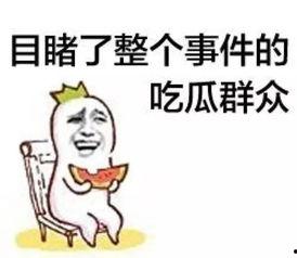 迎江吃瓜群众,吃瓜群众热议时事风云