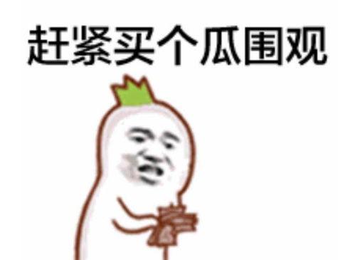 吃瓜群众山东第十批,揭秘幕后故事与热点事件