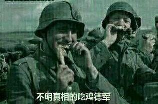 鲁南吃瓜群众事件真相,揭开真相背后的网络迷雾