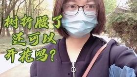 吃瓜群众有看法的小说叫什么,揭秘小说背后的故事与真相